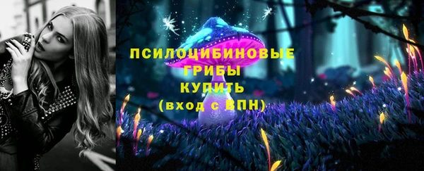 винт Армянск