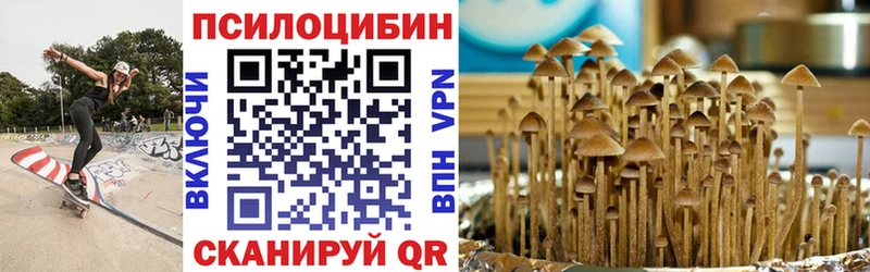 Галлюциногенные грибы GOLDEN TEACHER  купить  сайты  МЕГА tor  Сибай 